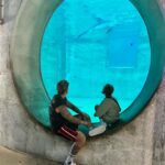 Monique Westenberg Instagram – Days at Clearwaterbeach 🌴🐬☀️less