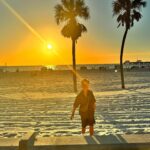 Monique Westenberg Instagram – Days at Clearwaterbeach 🌴🐬☀️less