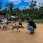 Murilo Cezar Instagram – ontem tivemos uma experiência única de adentrar na aldeia indígena aqui em Bertioga, para realizar uma doação de 300kg de ração. | ao todo na aldeia, são mais de 250 animais. | parabéns @caio_lima e @crossdogs_ por toda iniciativa e a @priscillaesbano por fazer esse lindo trabalho junto à aldeia.