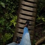 Murilo Cezar Instagram - ontem tivemos uma experiência única de adentrar na aldeia indígena aqui em Bertioga, para realizar uma doação de 300kg de ração. | ao todo na aldeia, são mais de 250 animais. | parabéns @caio_lima e @crossdogs_ por toda iniciativa e a @priscillaesbano por fazer esse lindo trabalho junto à aldeia.