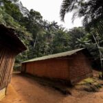Murilo Cezar Instagram – ontem tivemos uma experiência única de adentrar na aldeia indígena aqui em Bertioga, para realizar uma doação de 300kg de ração. | ao todo na aldeia, são mais de 250 animais. | parabéns @caio_lima e @crossdogs_ por toda iniciativa e a @priscillaesbano por fazer esse lindo trabalho junto à aldeia.