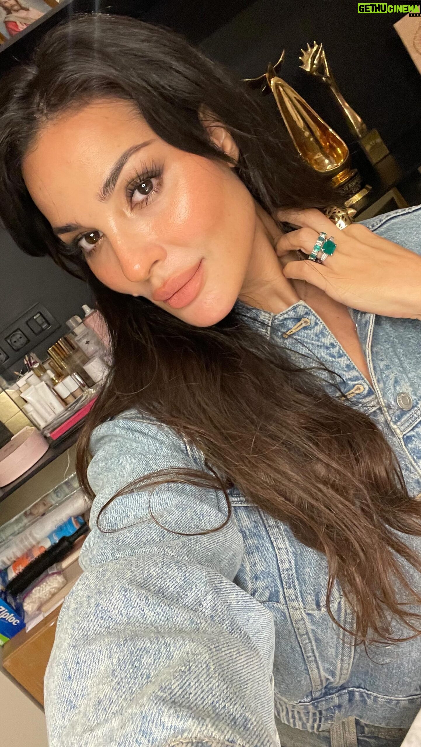 Nadine Njeim Instagram - ماكياجي لعشا مع الاصحاب : من بعد ما حطيت الفاونديشين استخدمت نقطة صغيرة من البلاشر الكريم ألّور ڤلڤت غلو من نادين بيوتي باللون ١٠١ نادين privée. بالريشة من نادين نجيم بيوتي دمجت البلاشر منيح من بعدا استخدمت كمية قليلة من الهيلايتر السائل و دمجته شوي و هيدي كانت النتيجة غلو و لمعان طبيعي 🌟 فيكم تتسوقوا المنتجات على الموقع اللينك بالبايو 1. allure velvet glow in shade 101 Nadine privée 2. glow liquid highlighter in gold champagne #nadinenjeimbeauty #nnnbeauty #glow #beauty #clean #vegan @nadine.njeim.beauty