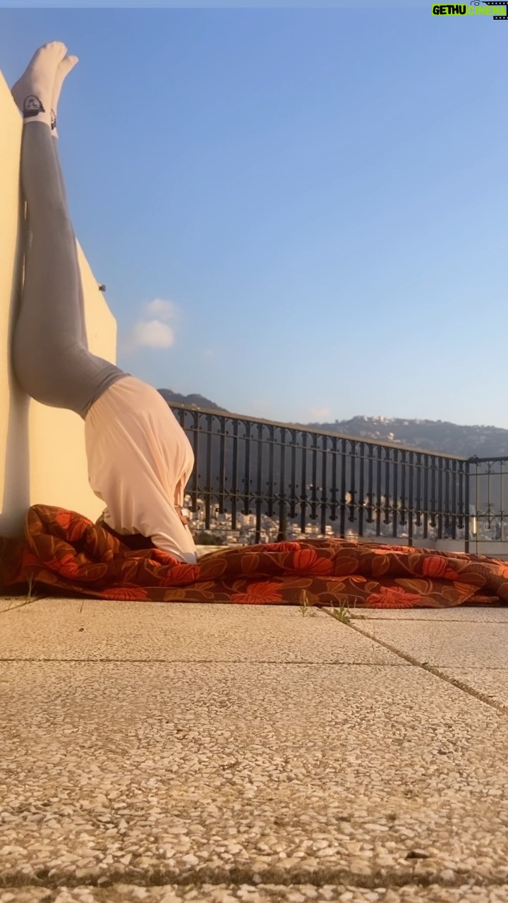 Nahed El Sebai Instagram - Yoga takes you into the present moment. The only place where life exists #yoga #yogaeverywhere #yogalove #namaste