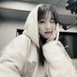 Nako Yabuki Instagram - 🪿
