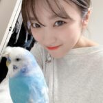 Nako Yabuki Instagram – 最近の☀️