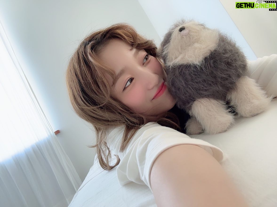 Nako Yabuki Instagram - 天使の日👼🏻 ってことで天使の羽みたいな髪(途中経過)した時の笑