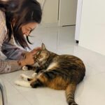 Nam Ji-hyun Instagram – 세상에서 제일 소중한 땅꼬랑이랑🐯🐱