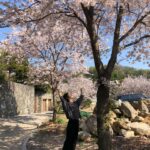 Nam Ji-hyun Instagram - 벚꽃구경은 촬영장에서🌸🌸