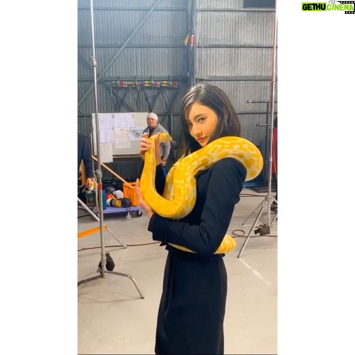 Nanao Instagram - こんにちは蛇女です🐍💛 爬虫類が苦手な人はごめんなさい🙏 私は大好きすぎて終始この子と一心同体でした❤️ 今夜放送の第６話では爬虫類でてきませんのでご安心くださいませ✨