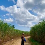 Nanao Instagram – 🌞