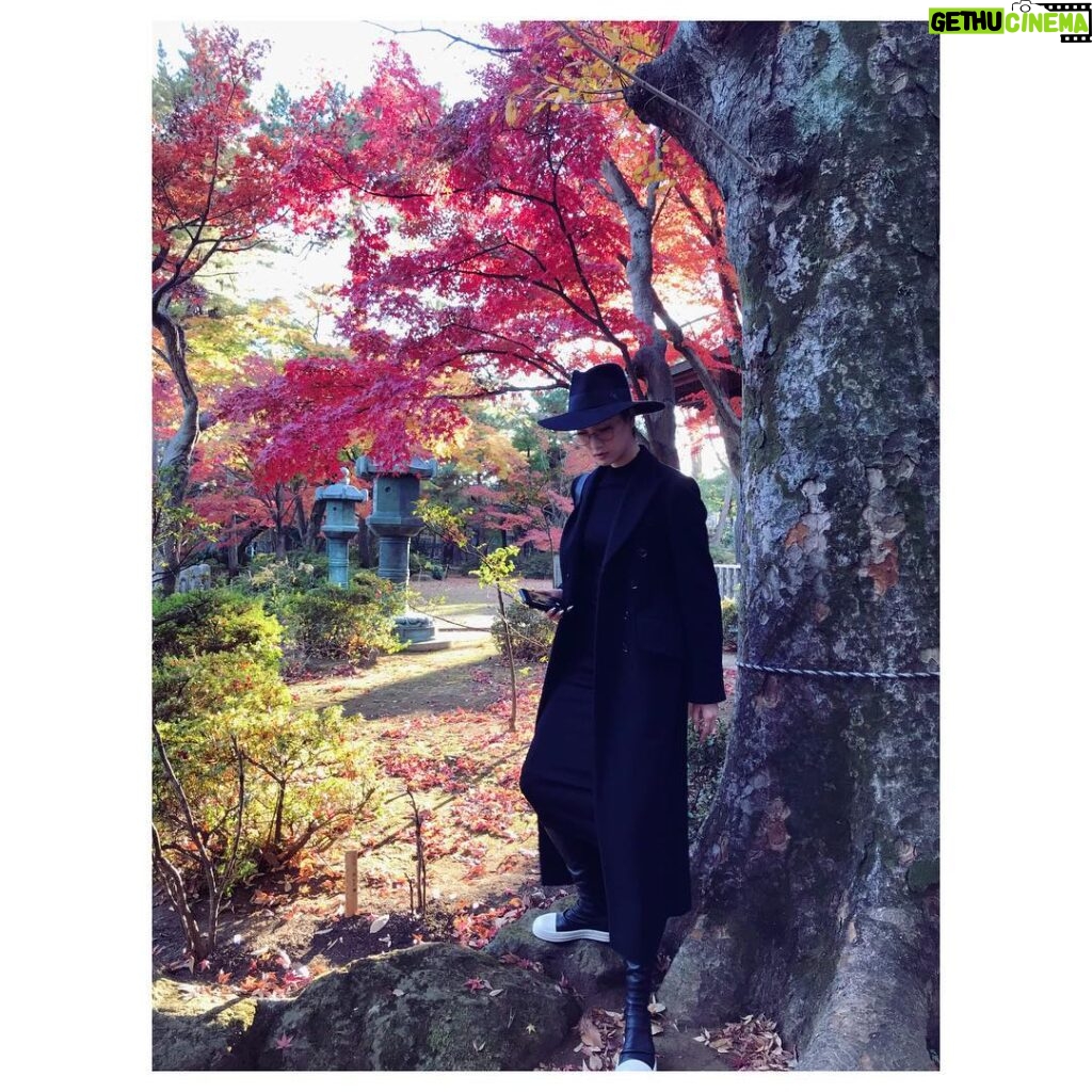 Nanao Instagram - #豪徳寺 #紅葉 🍁🍠❤️