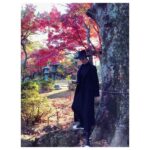 Nanao Instagram – #豪徳寺 #紅葉 🍁🍠❤️