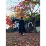 Nanao Instagram – #豪徳寺 #紅葉 🍁🍠❤️