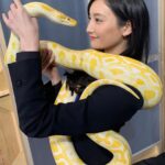 Nanao Instagram – こんにちは #蛇女 こと ＃牧野巴です🐍💛 今夜22:00〜 #インハンド 第３話 放送です💖

@inhand_tbs