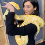 Nanao Instagram – こんにちは #蛇女 こと ＃牧野巴です🐍💛 今夜22:00〜 #インハンド 第３話 放送です💖

@inhand_tbs