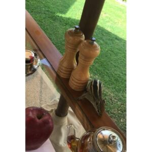 Nanao Instagram - またまた先日一人でスリランカに。アーユルベーダしたり、寺院に行ったり、命の誕生を拝見したり、ローカルマーケットに行ってスリランカお料理教室、稲刈り体験などなど。

#スリランカ
#SriLanka
#🇱🇰