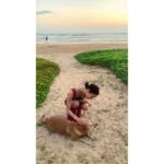 Nanao Instagram –