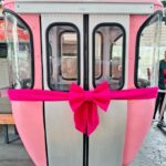 Nany People Instagram - 🩷 A querida Nany People inaugurou neste domingo (10) a primeira cabine rosa do Teleférico do Parque do Cristo de Poços de Caldas! Nany foi homenageada pelo @grupocitur por sua dedicação como Embaixadora do Turismo de Poços de Caldas, título entregue em 2015 pelo @pocoscvb. 📷 @claudia_camillo Visite, Conheça, Descubra Poços de Caldas! 💙 #descubrapoços #descubrapoçosdecaldas #poçosdecaldas #poços #visiteminasgerais #minasgerais #minas #vempraminas #mtur #turismo