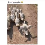 Nany People Instagram - Minha Amada @fafadbelem postou um video que remeteu a minha infância indo pro Catecismo! A mensagem pra essa sexta é ser diferente Kkkkkkkk 😂🤣😂 bom fim de semana, meus amores!!! Repost @eva_atocha From @fafadbelem