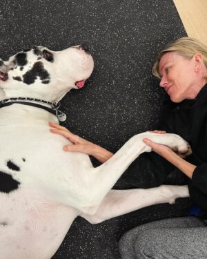 Naomi Watts Instagram - Meet my new friend. More on this soon ❤️