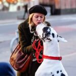 Naomi Watts Instagram - Bing—my scene partner who stole my heart on day #1 ❤️🐶🐾 🐶 💋 PC: @gr8images