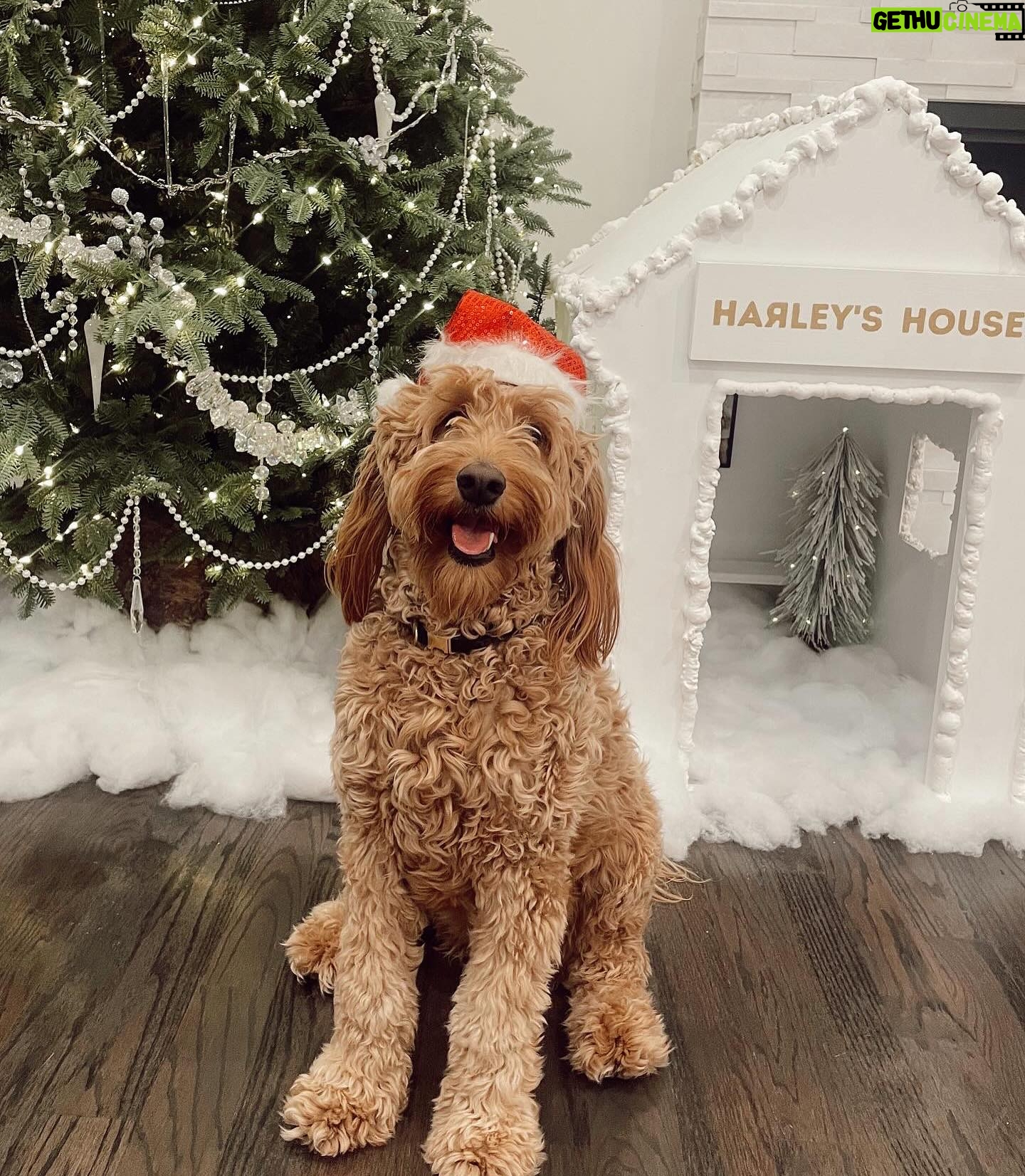 Nastia Liukin Instagram - happy happy 4th birthday my sweet little boy 🥹 thank you for changing my life forever. here’s to so many more adventures together in all of your favorite places around the world. love you so very much harley