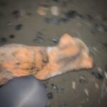 Natalia Azahara Instagram - popurrí 2023