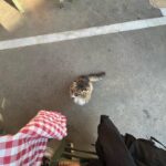 Natalia Azahara Instagram - popurrí 2023