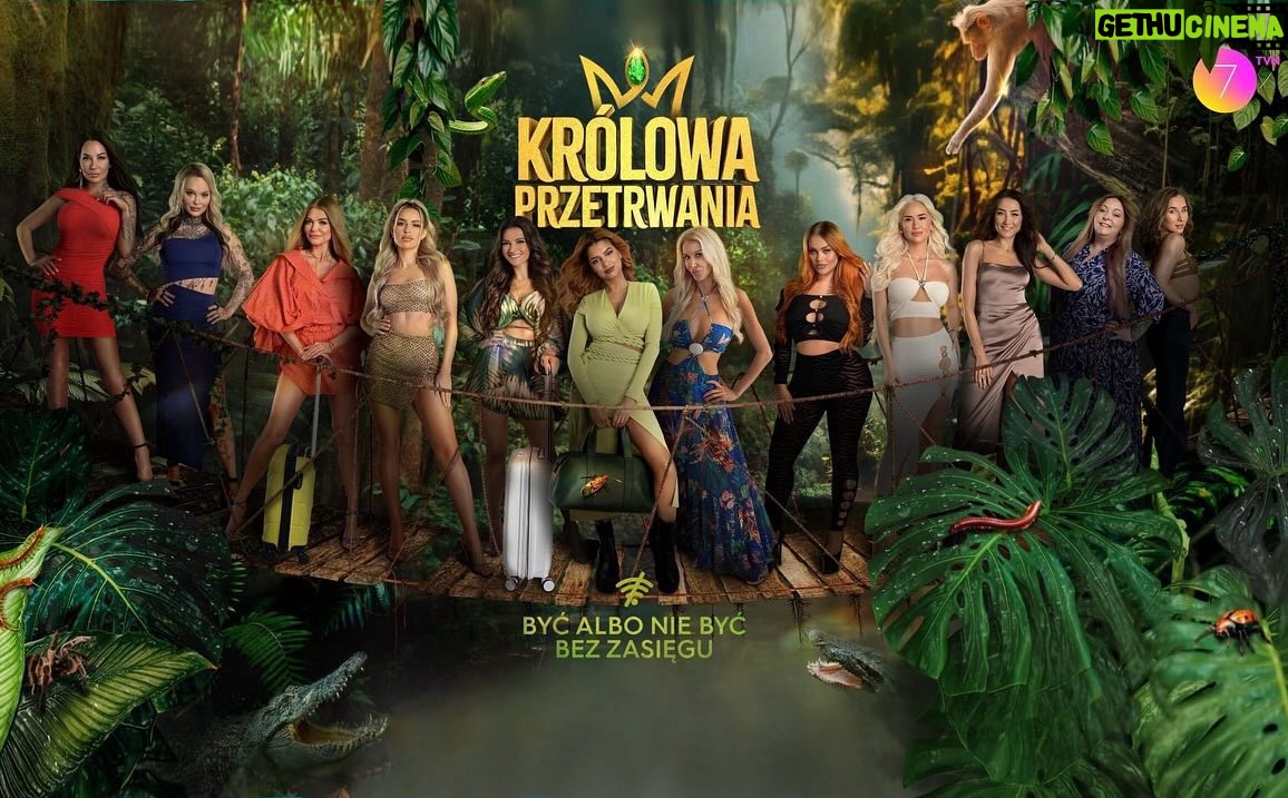 Natalia Janoszek Instagram - Czas na finał! Królowa Przetrwania dziś o 22.15 w @tvn.7 🎬 @player.pl @rochstar.tv