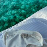 Natalia Janoszek Instagram - Woke up to this..🤍🌊 #maldives #hangnaamedhoo #paradise #island #ellaidhoo @ellaidhoomaldivesbycinnamon