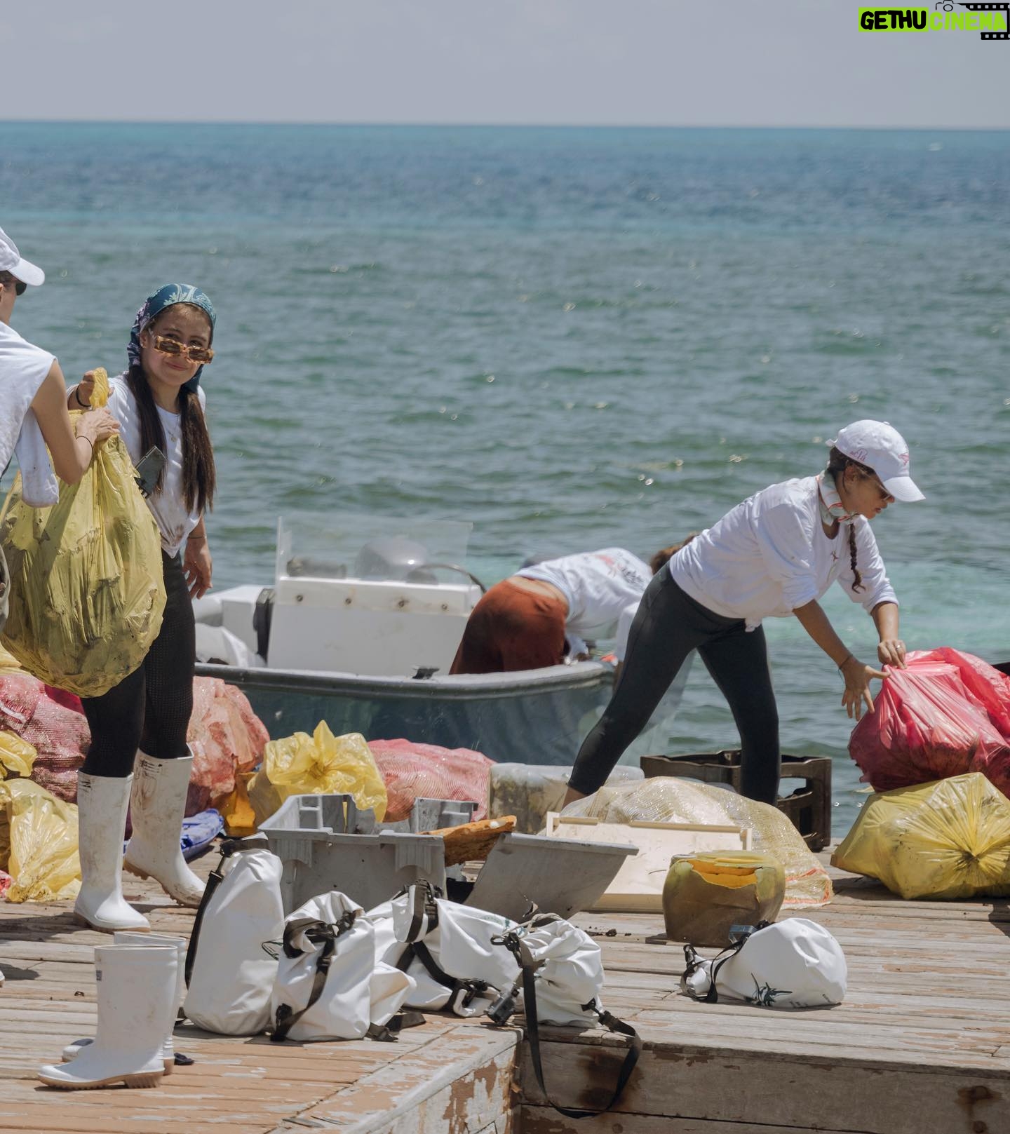 Natalia Reyes Instagram - MANGLAR: un ecosistema fundamental para nuestro planeta, la guardería de los peces, el riñón de nuestros mares, la barrera protectora de la tierra.. Después del huracán IOTA en 2020 el manglar rojo de la isla de Providencia quedó muy afectado por eso fuimos con #becláconexiónocéanos a sembrar 600 plántulas de mangle y a limpiarlo. El resultado de la jornada de extracción de residuos: - Aprovechables 78 kg - No aprovechables 289,3 kg Total de residuos extraídos McBean Mangrove: 367.3 kg La limpieza más grande hecha en la isla hasta el momento 🩵 Gracias @beclaworld @parquescolombia @mabe_colombia @agendadelmar @hatsu_official @cincosillas @hatsu_official @co2cero por hacerlo posible 💫 Y a la reina @claudiabahamon mi amor para toda la vida 📸 @linabotero_ la súper fotógrafa • MANGROVES: a fundamental ecosystem for our planet, the nursery of fish, the kidney of our seas, the protective barrier of the earth. After Hurricane IOTA in 2020, the red mangrove on the island of Providencia was greatly affected, so we went with #becláconexiónocéanos to plant 600 mangrove seedlings and clean it. The result of the waste extraction day: - Usable 78 kg - Not usable 289.3 kg Total waste extracted from McBean Mangrove: 367.3 kg The largest cleanup done on the island so far 🌱 #Manglar #NataliaFromColombia #OceanCleanUp #Mangroves