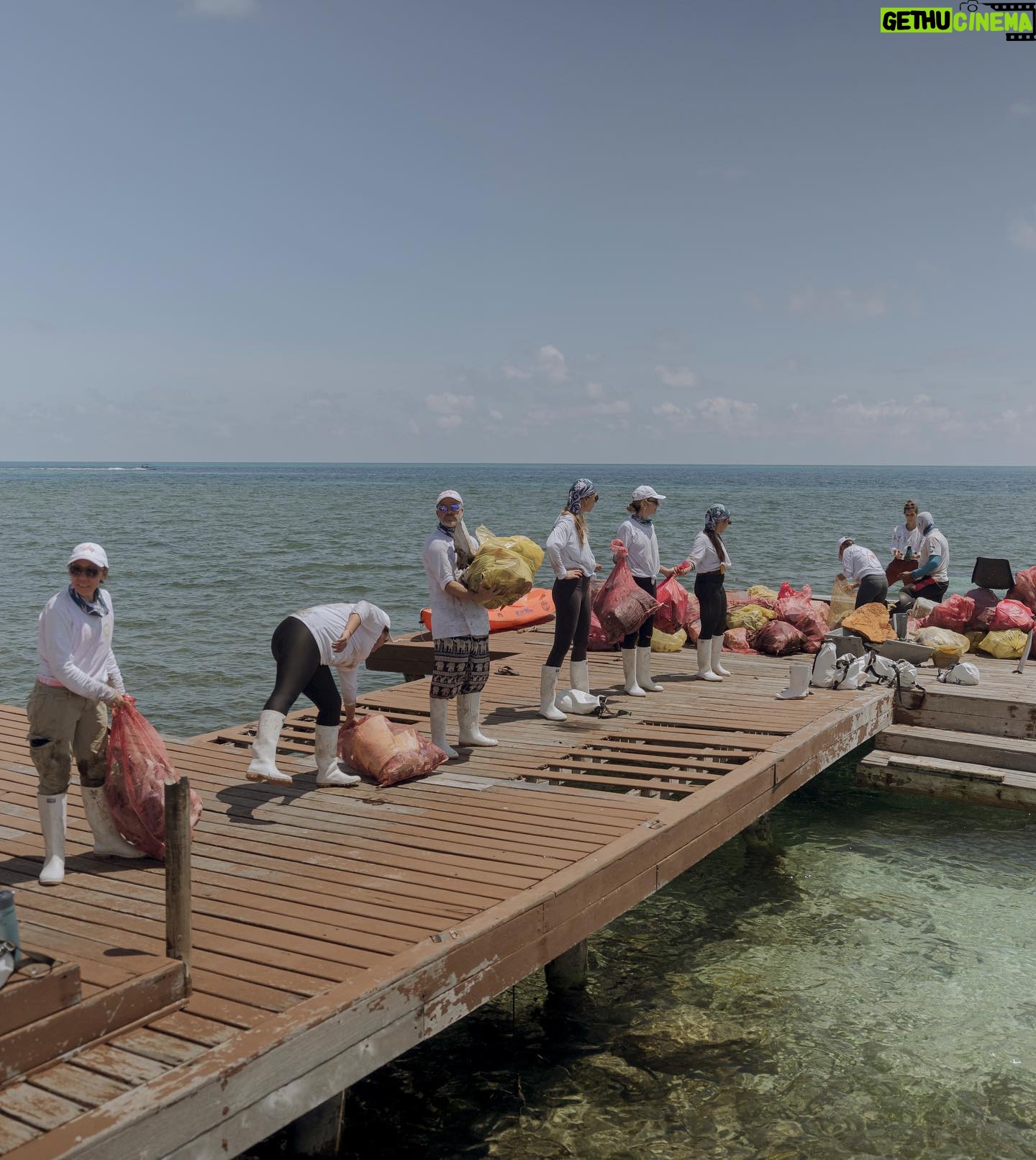Natalia Reyes Instagram - MANGLAR: un ecosistema fundamental para nuestro planeta, la guardería de los peces, el riñón de nuestros mares, la barrera protectora de la tierra.. Después del huracán IOTA en 2020 el manglar rojo de la isla de Providencia quedó muy afectado por eso fuimos con #becláconexiónocéanos a sembrar 600 plántulas de mangle y a limpiarlo. El resultado de la jornada de extracción de residuos: - Aprovechables 78 kg - No aprovechables 289,3 kg Total de residuos extraídos McBean Mangrove: 367.3 kg La limpieza más grande hecha en la isla hasta el momento 🩵 Gracias @beclaworld @parquescolombia @mabe_colombia @agendadelmar @hatsu_official @cincosillas @hatsu_official @co2cero por hacerlo posible 💫 Y a la reina @claudiabahamon mi amor para toda la vida 📸 @linabotero_ la súper fotógrafa • MANGROVES: a fundamental ecosystem for our planet, the nursery of fish, the kidney of our seas, the protective barrier of the earth. After Hurricane IOTA in 2020, the red mangrove on the island of Providencia was greatly affected, so we went with #becláconexiónocéanos to plant 600 mangrove seedlings and clean it. The result of the waste extraction day: - Usable 78 kg - Not usable 289.3 kg Total waste extracted from McBean Mangrove: 367.3 kg The largest cleanup done on the island so far 🌱 #Manglar #NataliaFromColombia #OceanCleanUp #Mangroves