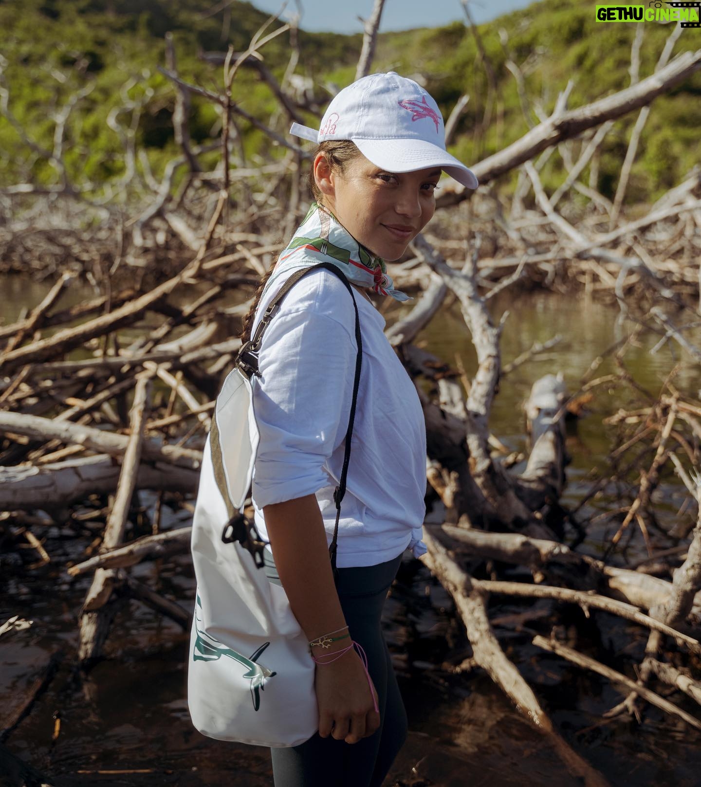 Natalia Reyes Instagram - MANGLAR: un ecosistema fundamental para nuestro planeta, la guardería de los peces, el riñón de nuestros mares, la barrera protectora de la tierra.. Después del huracán IOTA en 2020 el manglar rojo de la isla de Providencia quedó muy afectado por eso fuimos con #becláconexiónocéanos a sembrar 600 plántulas de mangle y a limpiarlo. El resultado de la jornada de extracción de residuos: - Aprovechables 78 kg - No aprovechables 289,3 kg Total de residuos extraídos McBean Mangrove: 367.3 kg La limpieza más grande hecha en la isla hasta el momento 🩵 Gracias @beclaworld @parquescolombia @mabe_colombia @agendadelmar @hatsu_official @cincosillas @hatsu_official @co2cero por hacerlo posible 💫 Y a la reina @claudiabahamon mi amor para toda la vida 📸 @linabotero_ la súper fotógrafa • MANGROVES: a fundamental ecosystem for our planet, the nursery of fish, the kidney of our seas, the protective barrier of the earth. After Hurricane IOTA in 2020, the red mangrove on the island of Providencia was greatly affected, so we went with #becláconexiónocéanos to plant 600 mangrove seedlings and clean it. The result of the waste extraction day: - Usable 78 kg - Not usable 289.3 kg Total waste extracted from McBean Mangrove: 367.3 kg The largest cleanup done on the island so far 🌱 #Manglar #NataliaFromColombia #OceanCleanUp #Mangroves