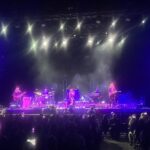Natalie Imbruglia Instagram – Last night at @qudosbankarena on Tour with @thecorrsofficial 
THANK YOU SYDNEY 💜💃🏽✨

@germeinsisters @thetonichilds 💚🎉

Styling: @fredericalovellpank ❤️
Leather skirt: @nanushka 

📷: @karenrossiter