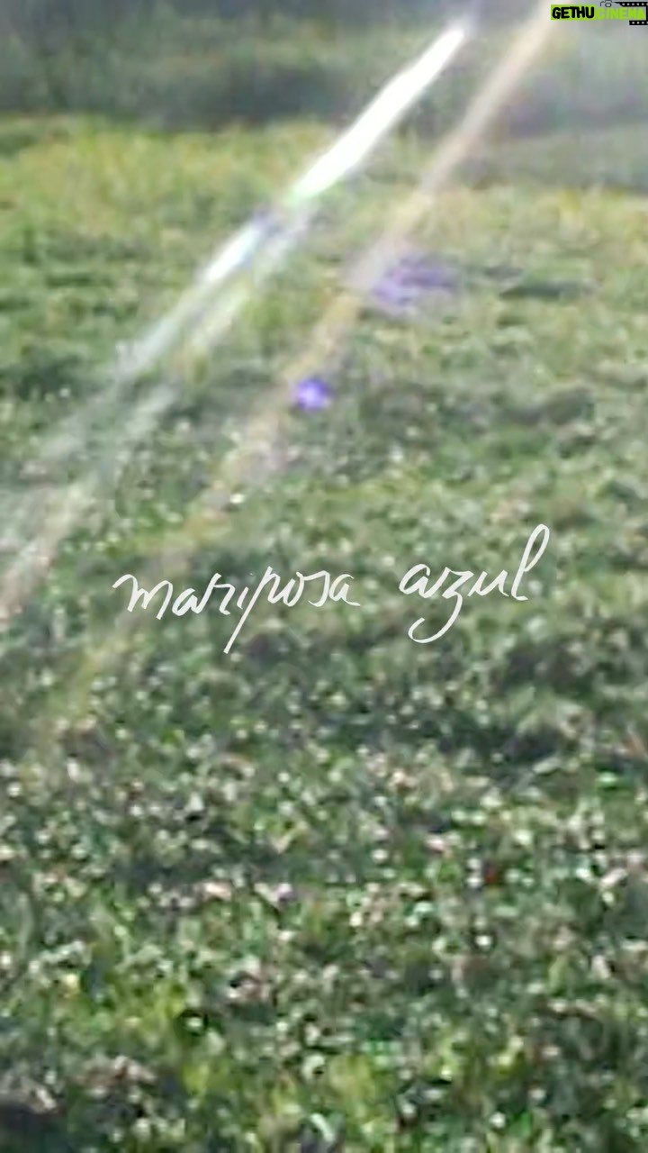 Natalie Pérez Instagram - “Yo te cielo MARIPOSA AZUL 🦋 “ • Jueves 6 a las 20:00 hs en tu plataforma favorita 🥰