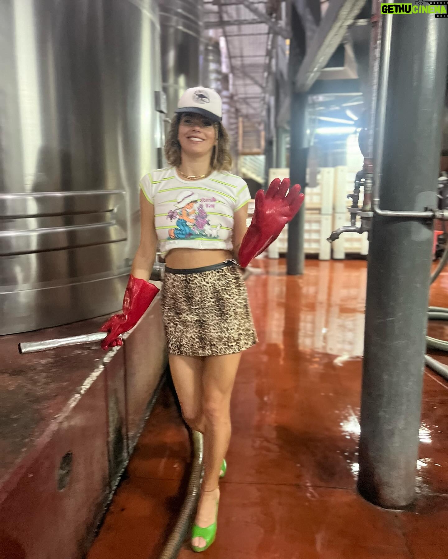 Natalie Pérez Instagram - cerca del vino lejos de vos = esta todo bien pero te extraño