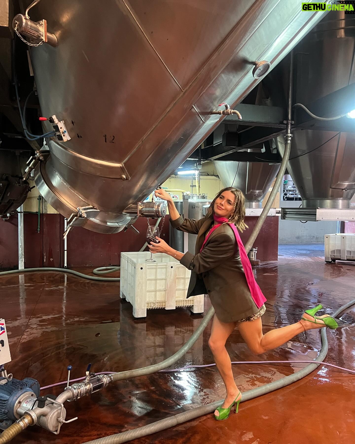 Natalie Pérez Instagram - cerca del vino lejos de vos = esta todo bien pero te extraño