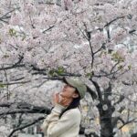Natalie Tong Instagram - 留住這一刻 🌸🌸🌸