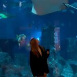 Natalya Podolskaya Instagram - Я дома . Но , уезжая из @atlantisthepalm , загадала желание - вернуться с детьми , чтоб показать им этот аквариум от пола до потолка . В нем 65000 обитателей . От него просто не отойти , он завораживает . Кстати, если Вы дайвер , можно даже погрузиться и поплавать с рифовыми акулами и мантами и всеми остальными …