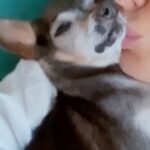 Natalya Rudova Instagram - Вени больше нет. Мы долго боролись за твою жизнь с твоего первого приступа в 6 лет. И ты был самым сильным ребенком . Но в этот раз твое сердечко не справилось. Не могу передать как сильно я тебя люблю безусловной любовью. Не знаю как я буду без тебя… не знаю как тебя отпустить.. Единственное что меня хоть как-то утешает что тебе больше никогда не будет больно. Мое чудо.. мои самые любимые глазки, мои самые любимые ушки.. Сколько ты подарил мне любви.. Спасибо тебе ❤️ Я всегда буду твоей любимой мамой, а ты всегда будешь моим самым любимым мальчиком❤️ Веня 20.09.2008 / 14.01. 2023 14,5 лет счастья. P.s( на первом видео Венечке 2 годика, на 2-м 14 ) RIP🙏 Прошу не мучить меня вопросами и не беспокоить. Спасибо за понимание🙏