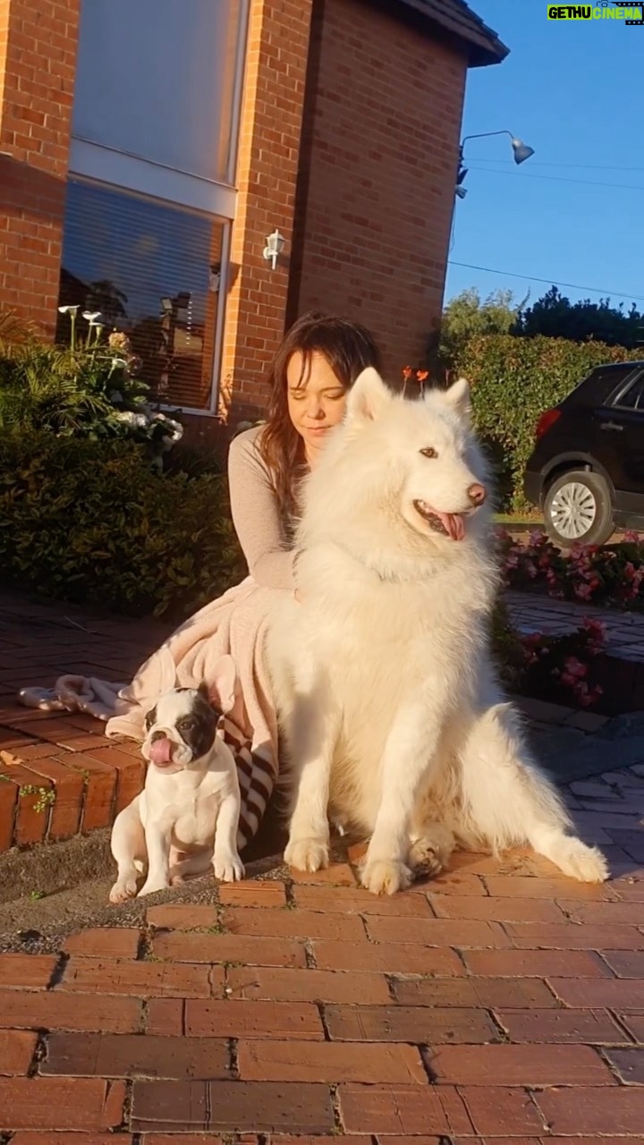 Natasha Klauss Instagram - Quien saca los perros ? Adivínen… 👇🏻🥰🐶 Feliz #viernes #misamores ❤️❤️❤️ #amoroerruno