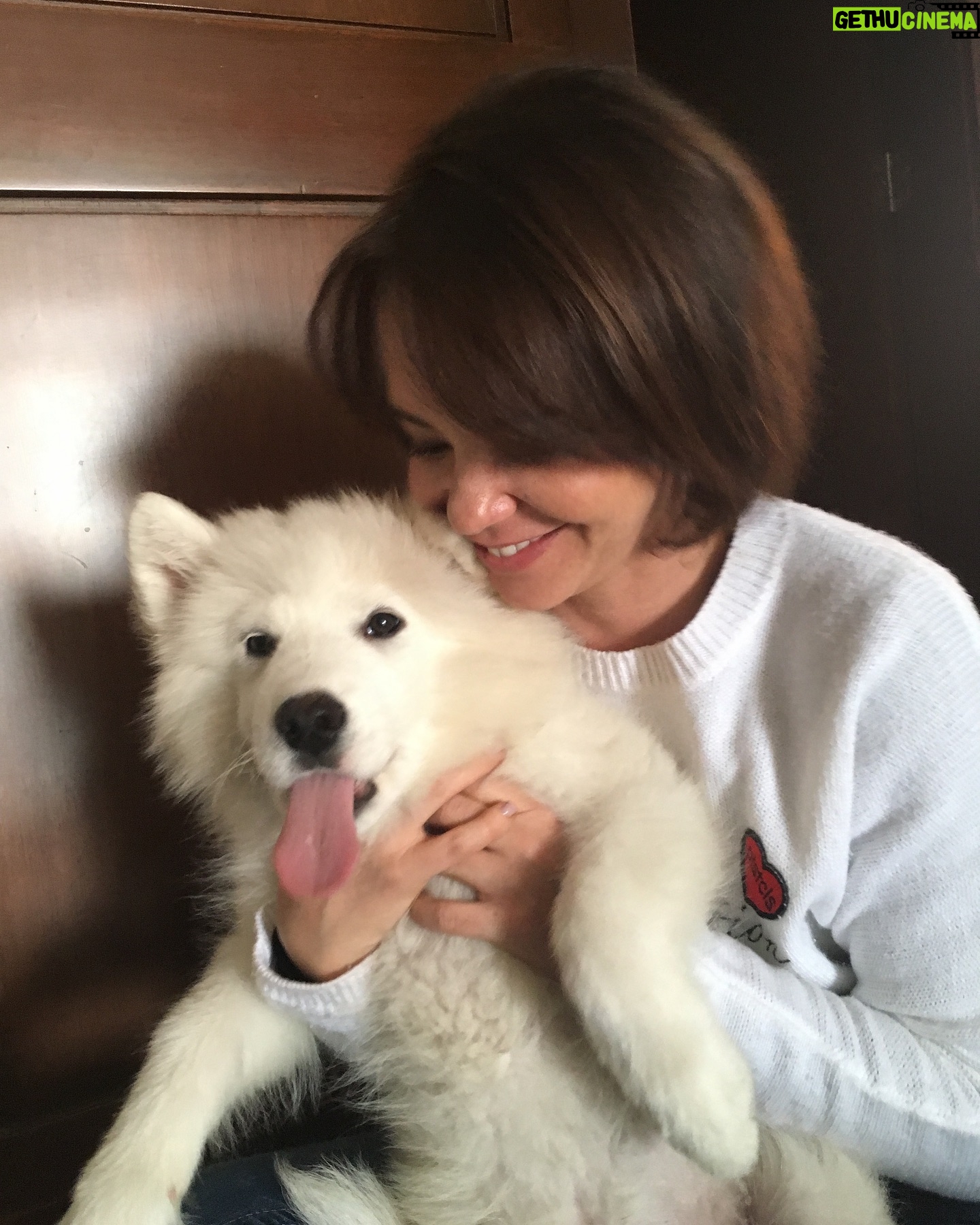 Natasha Klauss Instagram - #tbt peludo mi #rocco Cuantos años o meses creen que tenia ? Los leo #misamores 👇🏻 🥰🥰🥰🥰