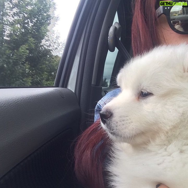 Natasha Klauss Instagram - Hoy el #tbt es para el …. #mirocco ya 6 años acompañándonos y nosotros amándolo cada día más ❤️ #petlovers #petfriendly Feliz jueves #misamores