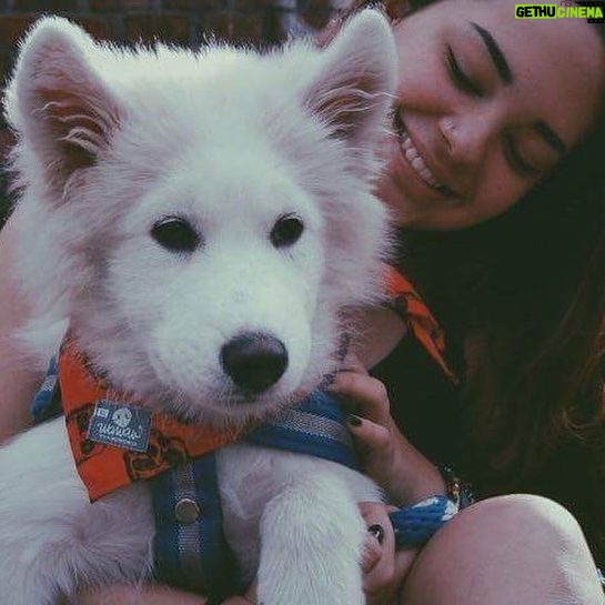 Natasha Klauss Instagram - Hoy el #tbt es para el …. #mirocco ya 6 años acompañándonos y nosotros amándolo cada día más ❤️ #petlovers #petfriendly Feliz jueves #misamores