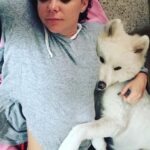 Natasha Klauss Instagram - Hoy el #tbt es para el …. #mirocco ya 6 años acompañándonos y nosotros amándolo cada día más ❤️ #petlovers #petfriendly Feliz jueves #misamores