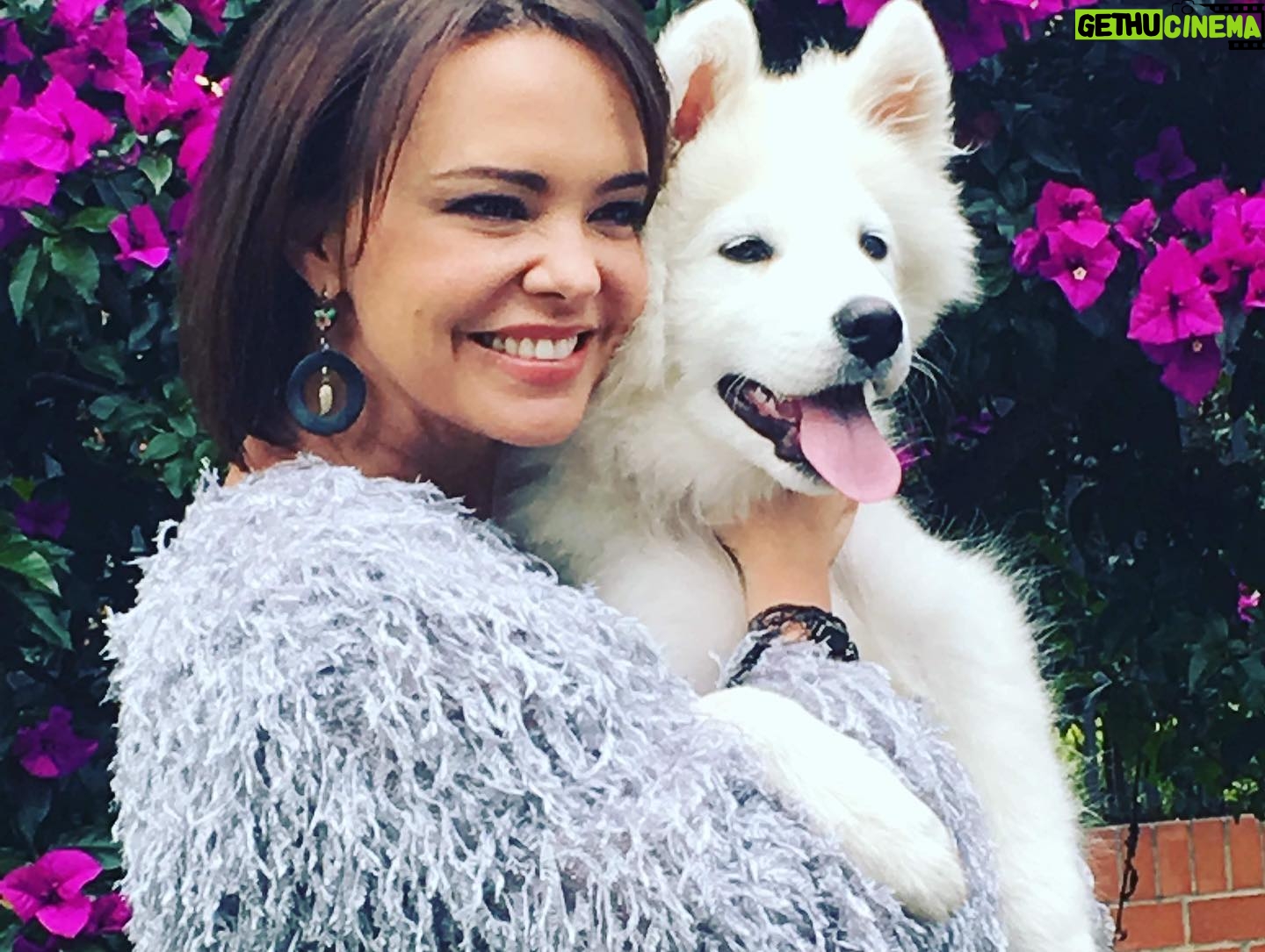 Natasha Klauss Instagram - Hoy el #tbt es para el …. #mirocco ya 6 años acompañándonos y nosotros amándolo cada día más ❤️ #petlovers #petfriendly Feliz jueves #misamores