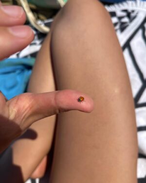 Natasha Liu Bordizzo Instagram - Homing 🐚🦀🌅