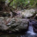 Natasha Liu Bordizzo Instagram - Swam with an eel in a freeeeeezing creek, Saw a golden orb spider the size of a plate, Met a brush turkey who tried to steal our breakfast, Met a few forest spirits, Ate mangoes in the bath, Woke up to laughing kookaburras, Remembered my reasons, Happy holidays from home 💚💚