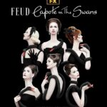 Natasha Lyonne Instagram - Chloe’s new Capote show #FeudCapoteVsTheSwans @fxnetworks January 31! @chloessevigny @feudfx 🦢🖤🦢🖤🦢🖤 @fallontonight @fuckingawesome 🛹🩶🛹