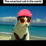 Natasha Lyonne Instagram -